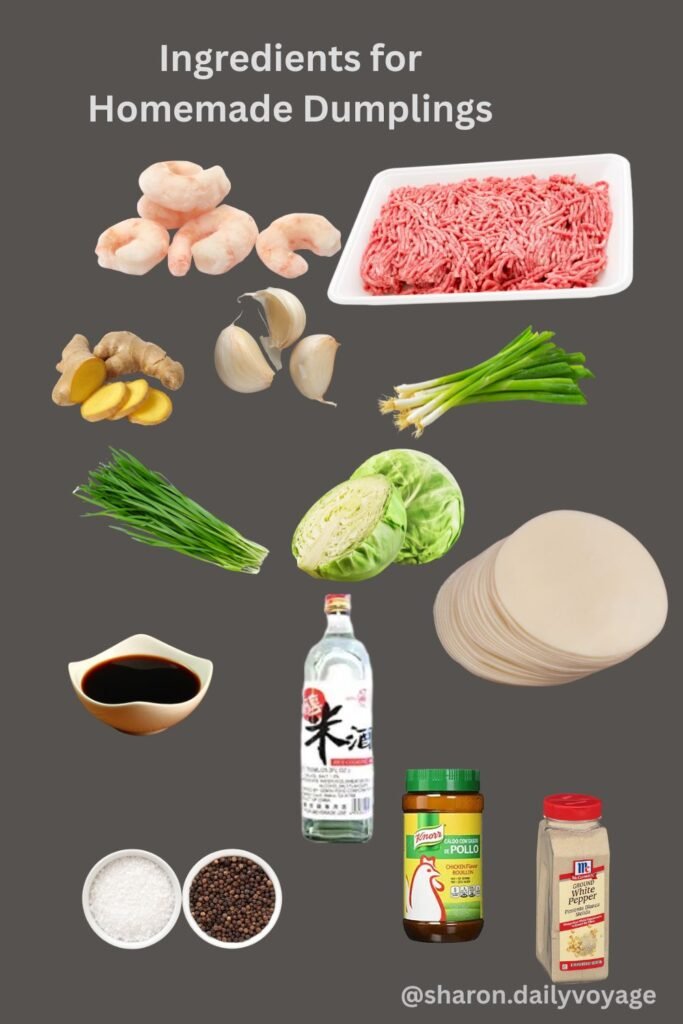 Ingredients for Home Made Chinese Dumplings 